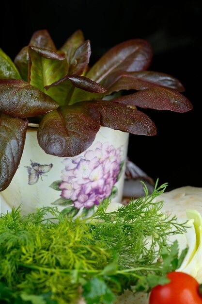 Zbliżenie warzyw i ziół